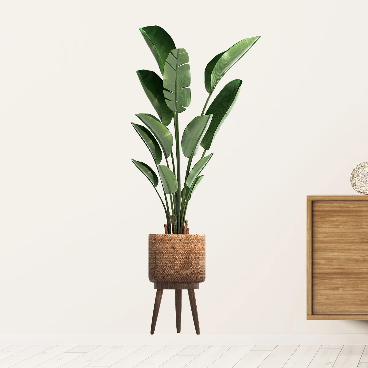 Simulazione Pianta verde Adesi - Interior Design Office recensione e prezzo