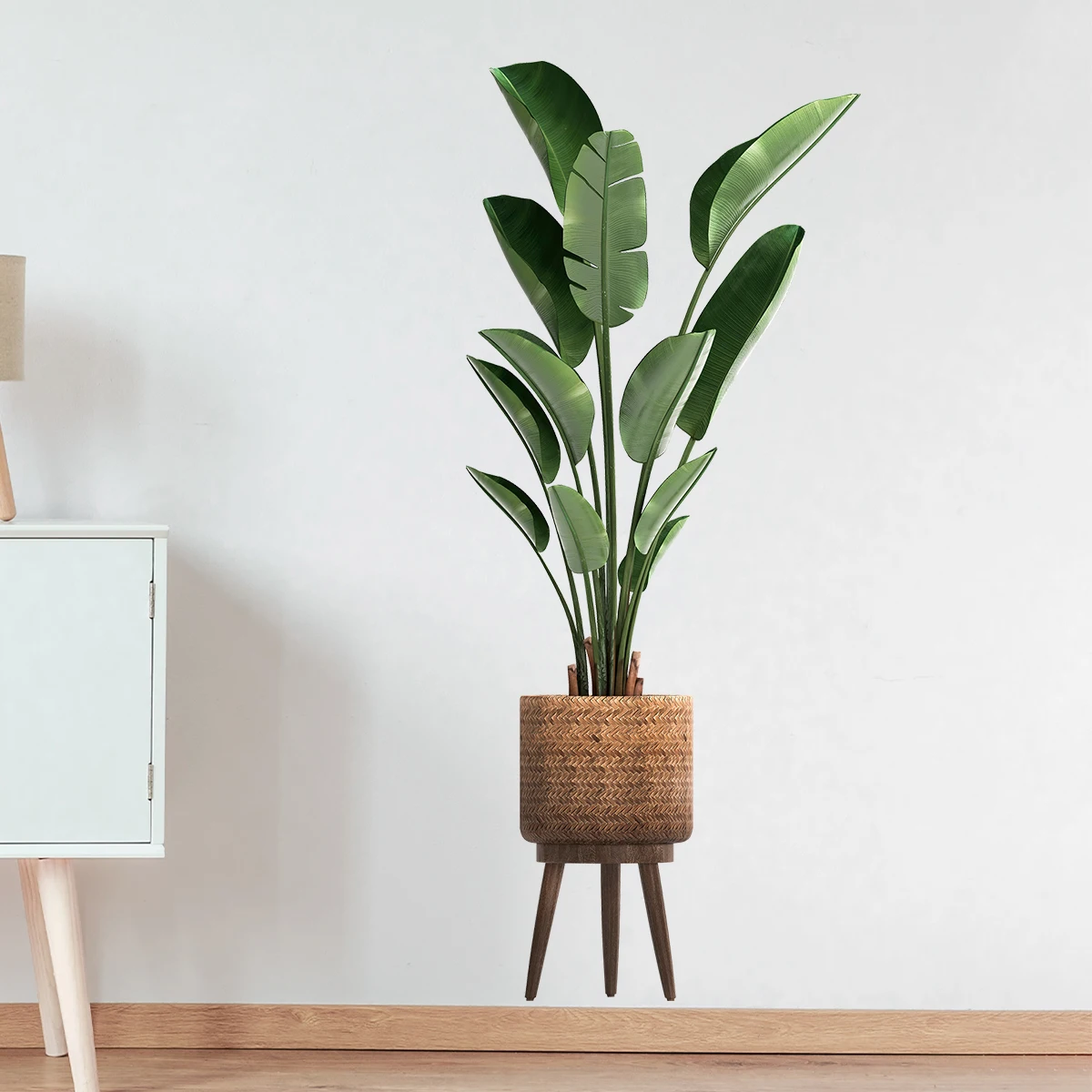 Simulazione Pianta verde Adesi - Interior Design Office recensione e prezzo
