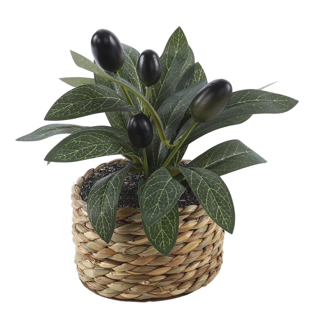 Albero di Ulivo Artificiale in - Interior Design Office recensione e prezzo