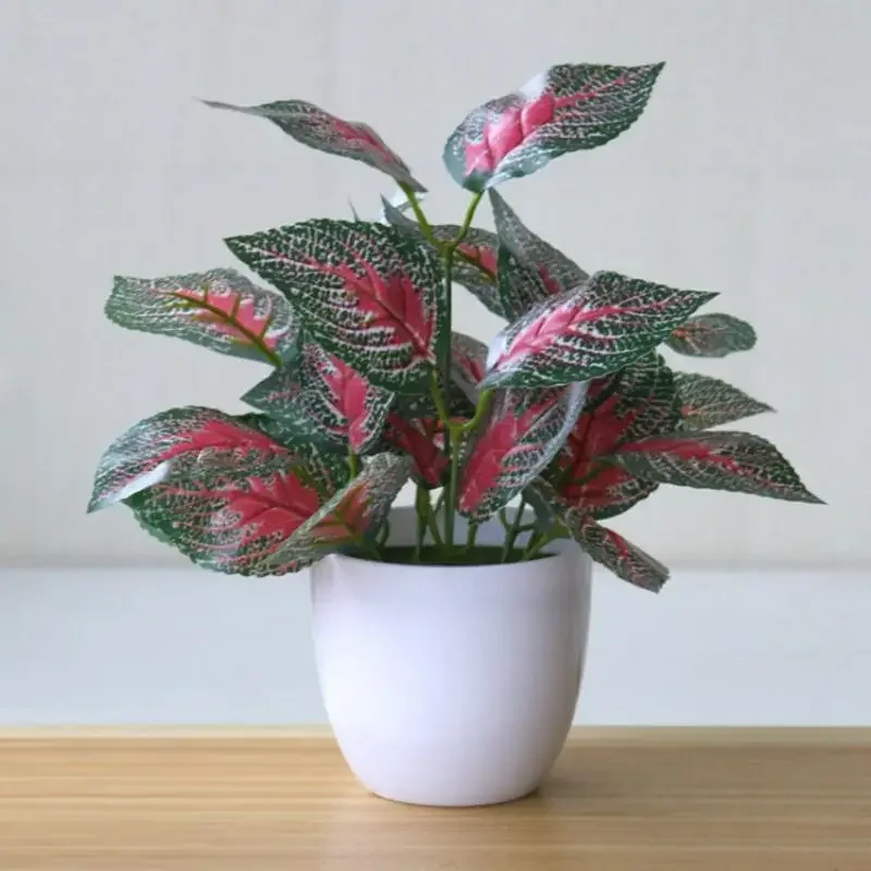 Piante artificiali Bonsai Pian - Interior Design Office recensione e prezzo